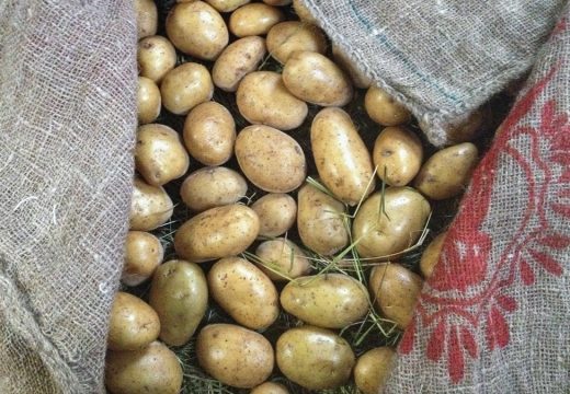 A Xunta declara a corentena  para os patacais de case toda a comarca por mor da couza guatemalteca